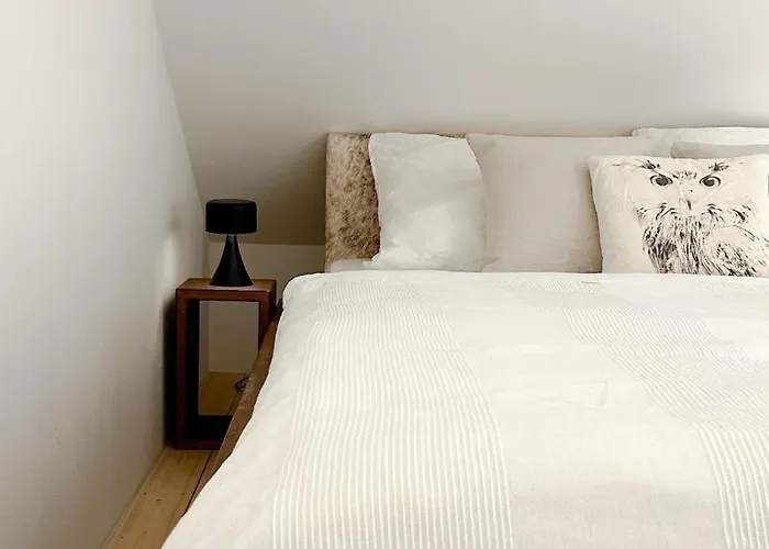 Scheunenloft - Design, Smart Tv Und Parkplatz Inklusive Apartamento Rothenfels